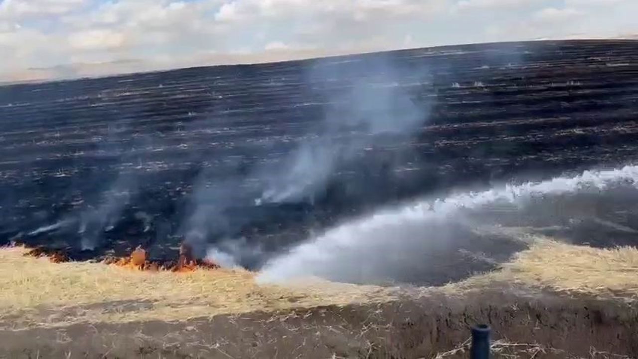 Diyarbakır’da anız yangını korkuttu