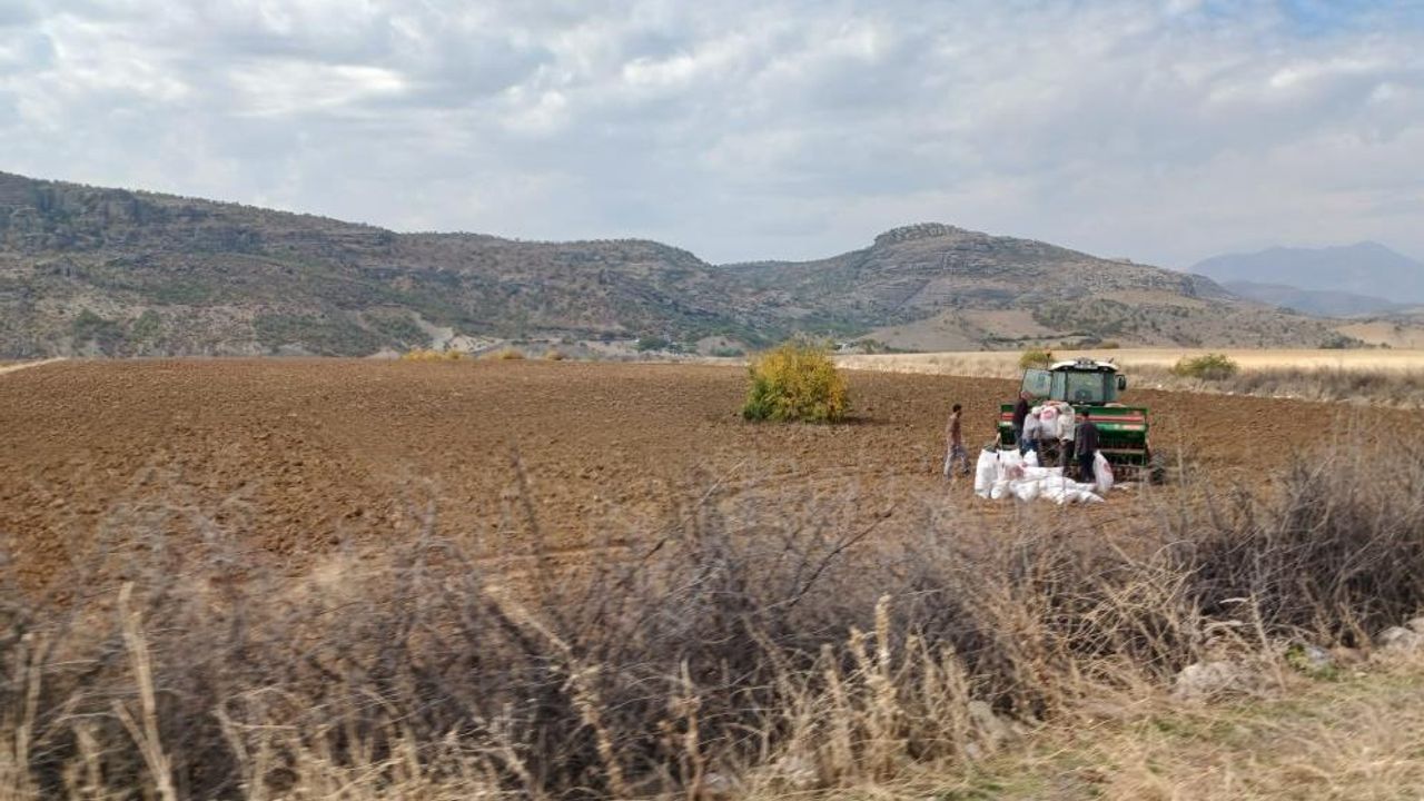 Diyarbakır’da çiftçilerin ekim mesaisi başladı