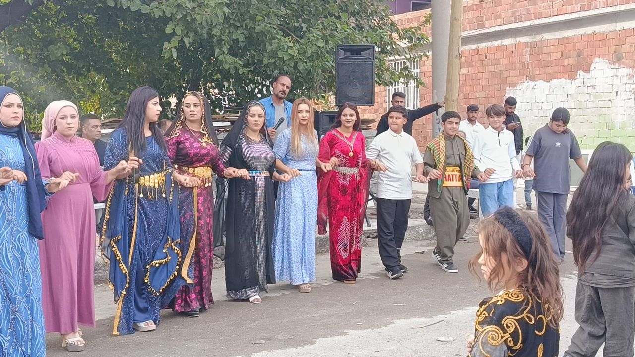 Diyarbakır’da renkli bir düğün: Domlar kültürlerini sokakta yaşatıyor