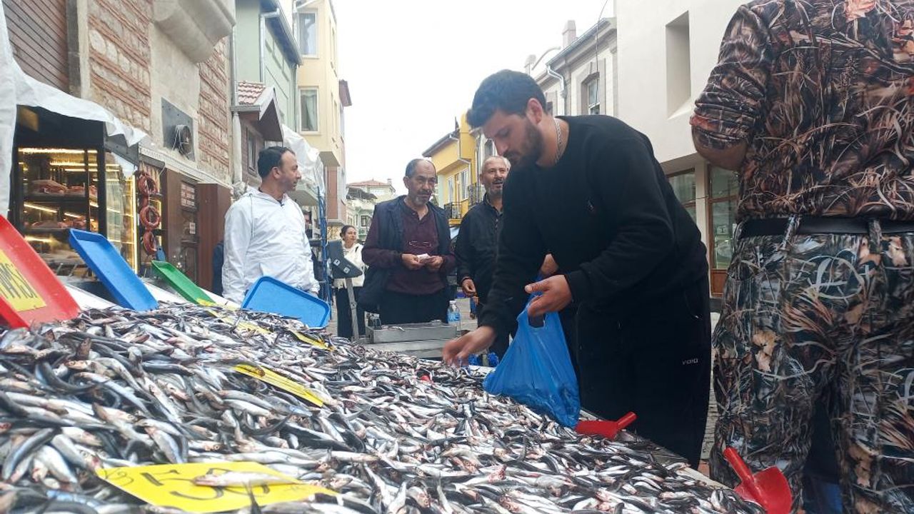 Kilosu 50 liraya düşen hamsiyi poşet poşet aldılar