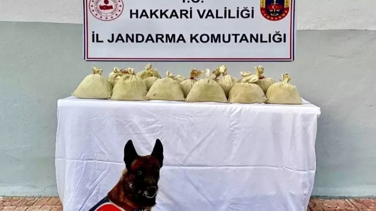 Hakkari'de uyuşturucu operasyonu