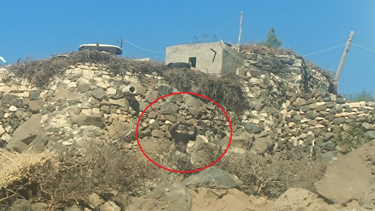 Mardin’de aileler arasında kanlı kavga: 4 yaralı, 17 yıl hapis cezalı şüpheli firarda