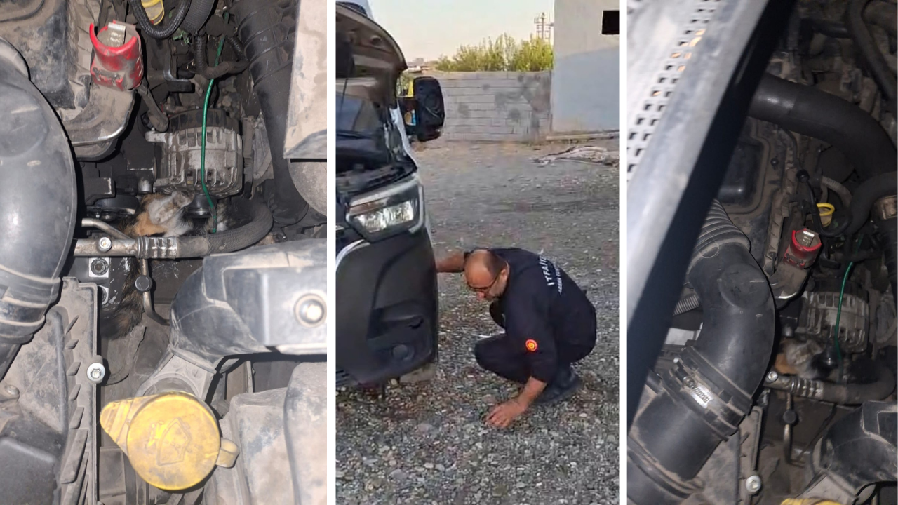 Diyarbakır’da minibüsün motoruna sıkışan yavru kedi kurtarıldı