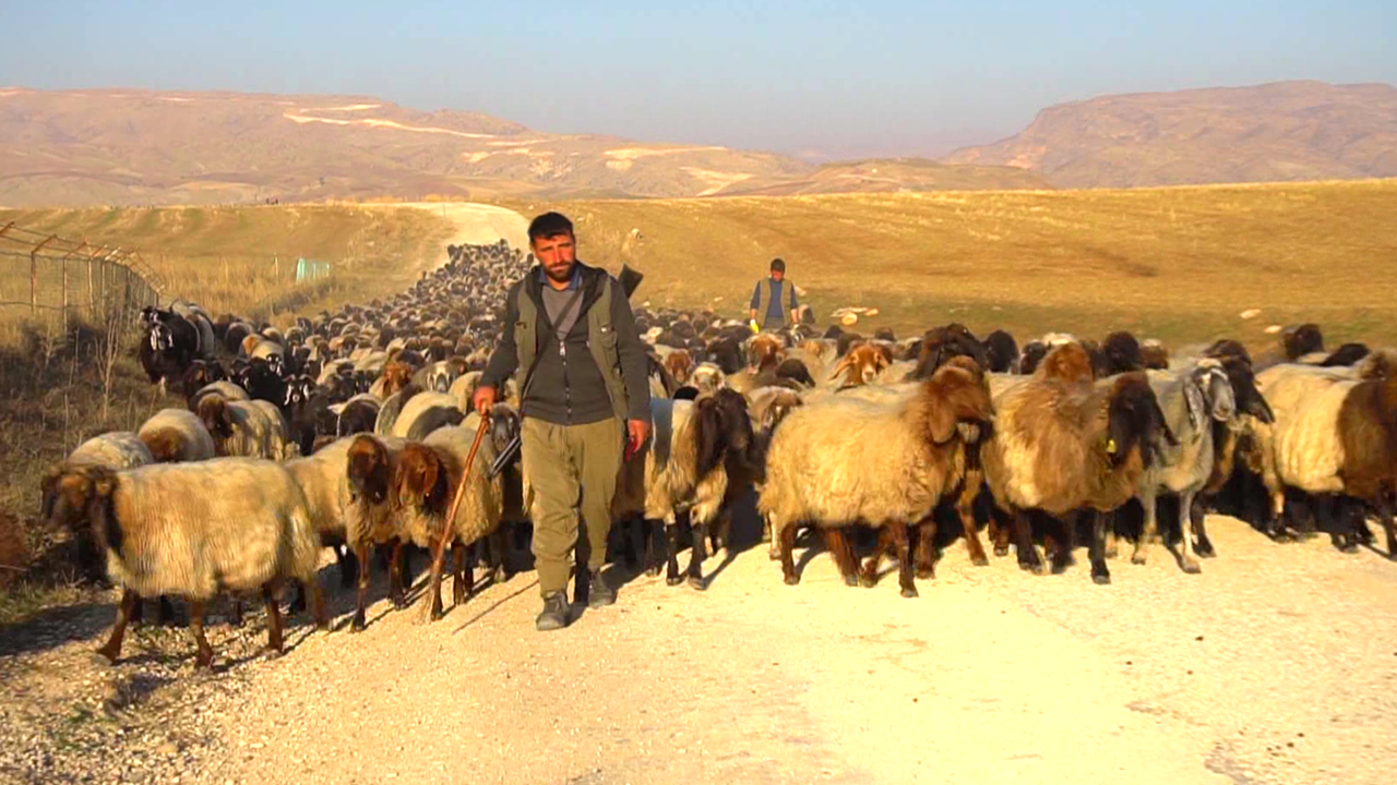 Göçerlerin zorlu kış yolculuğu başladı