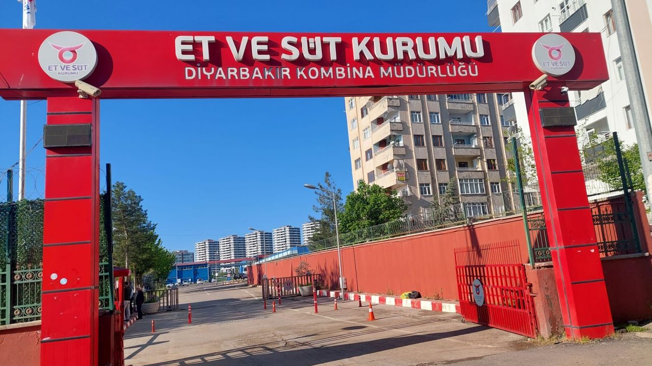 Diyarbakır’da Et ve Süt Kurumu 62 sürekli işçi alacak; işte 