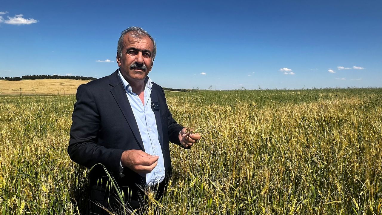 Diyarbakır’da dolu felaketi çiftçiyi vurdu