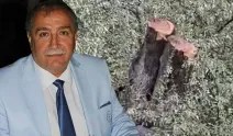 Özgür Özel’in Milas mitingi öncesi şok istifa! Zeytin krizi CHP’yi karıştırdı