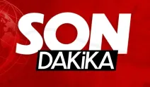 Cumhurbaşkanı istifa etti erken seçime gidiliyor