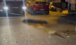 Çöp kamyonunun ezdiği emekli öğretmen hayatını kaybetti