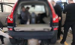 Sınır Kapısı'nda kilolarca esrar yakalandı