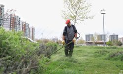 Diyarbakır’da parklar yaz aylarına hazırlanıyor