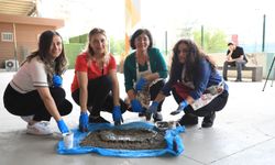 Diyarbakır’da atıklar sanata dönüştü