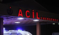 Üzerine ağaç devrilen şahıs öldü