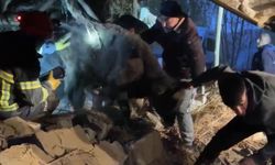 Yüksekova’da ahır çöktü