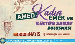 Diyarbakır’da üç gün sürecek kadın buluşması başlıyor