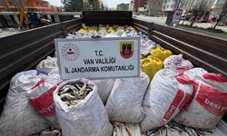 Yasağı dinlemeyenler yakalanıyor
