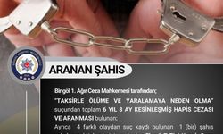 Bingöl’de kesinleşmiş hapis cezası bulunan şahıs yakalandı