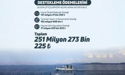 251 milyonluk destek hesaplara yattı