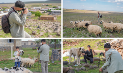 Diyarbakırlı çoban çektiği fotoğraflarla yöresini tanıtıyor