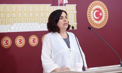 DEM Partili Çelenk'ten randevu krizine ilişkin soru önergesi