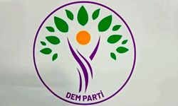 DEM Parti, PKK kararı sonrası Merkezi Yürütme Kurulu’nu topluyor