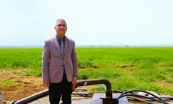Mardin Ovası'nda tehlikeli kuraklık
