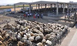 Diyarbakır'da besicilere dolandırıcılık ve hırsızlık uyarısı
