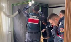 Elbise dolabından uyuşturucu serası çıktı