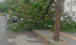 Meteorolojiden Güneydoğu için kuvvetli rüzgar uyarısı;