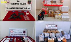 Gaziantep’te 264 şüpheli yakalandı