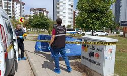 Çöp konteynerinde insan kafatası bulundu