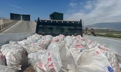2 ton kaçak inci kefali ele geçirildi
