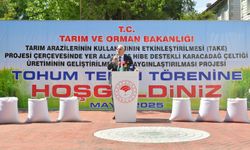 Diyarbakır’da hibe destekli Karacadağ Çeltik tohumu dağıtıldı