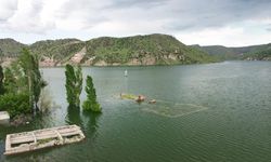 Kars'ta bir köy sular altında kaldı