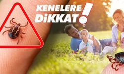 Havaların ısınmasıyla birlikte kenelerle temas riski arttı