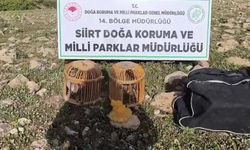 Kınalı keklik avlayan şahsa ceza