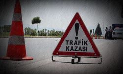 Otomobil koyun sürüsüne çarptı: 3 yaralı