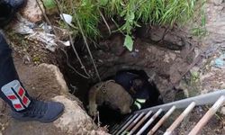 Diyarbakır’da bir koyun kuyuya düştü