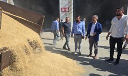 O ilde yılın ilk arpa hasadı yapıldı