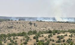 Mardin’de ormanlık alanda yangın çıktı