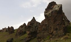"Nemrut'un develeri" koruma altına alınıyor