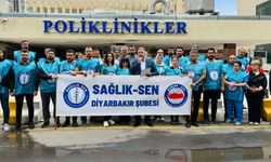 Sağlık-Sen Diyarbakır’dan Ebe ve Hemşireler için yol haritası