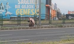 Diyarbakır’da üst geçit yerine 'ölüm geçişi' tercih ediliyor