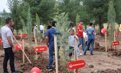 Diyarbakır'da koruyucu aile ve çocukları fidan dikti