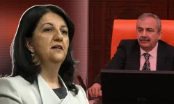 DEM Parti'den Sırrı Süreyya Önder ve Pervin Buldan'a suikast girişimi açıklaması