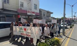Diyarbakır’da 'Sağlıklı Yaşam Yürüyüşü'