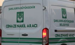 Koyun otlatan çobana otomobil çarptı