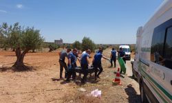 Zeytin tarlasında esrarengiz ölüm
