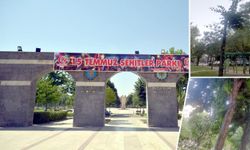 Diyarbakır’da ağaç katliamı TEMA Vakfı yetkilileri göreve çağırdı