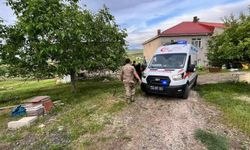 Elazığ'da bir kişi traktörün altında kaldı